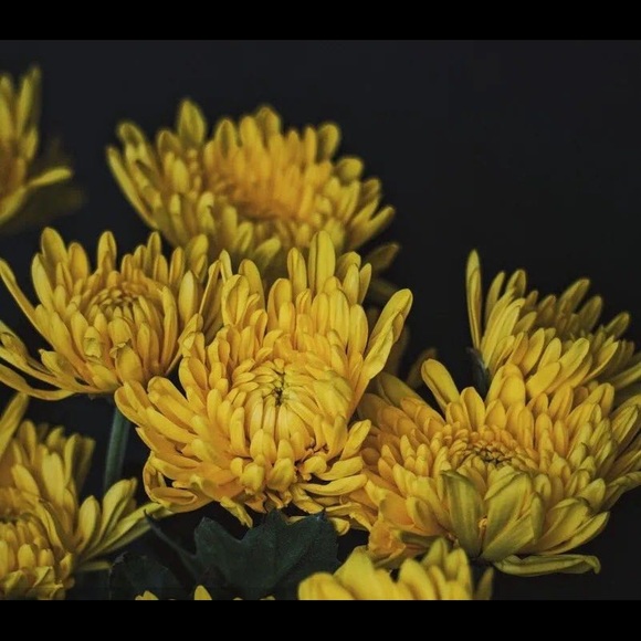 Silky Honey Cleansing Soap - Picture 3 of 5